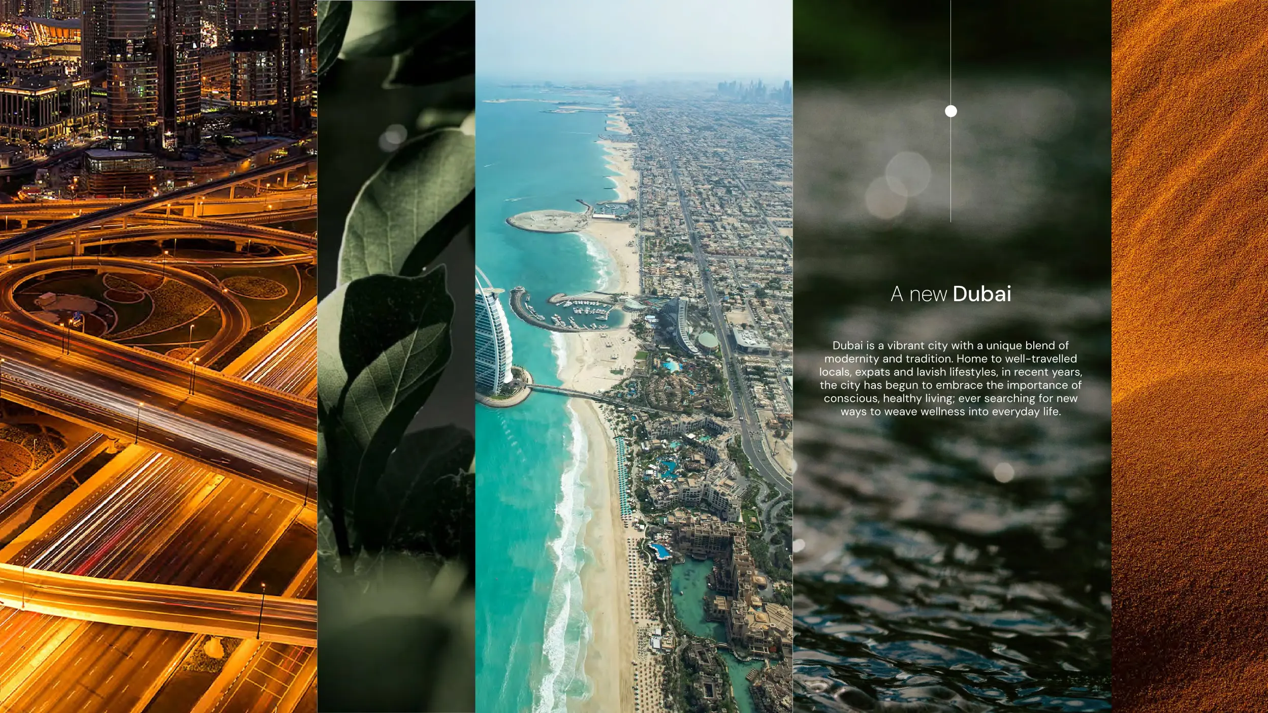 Project slides