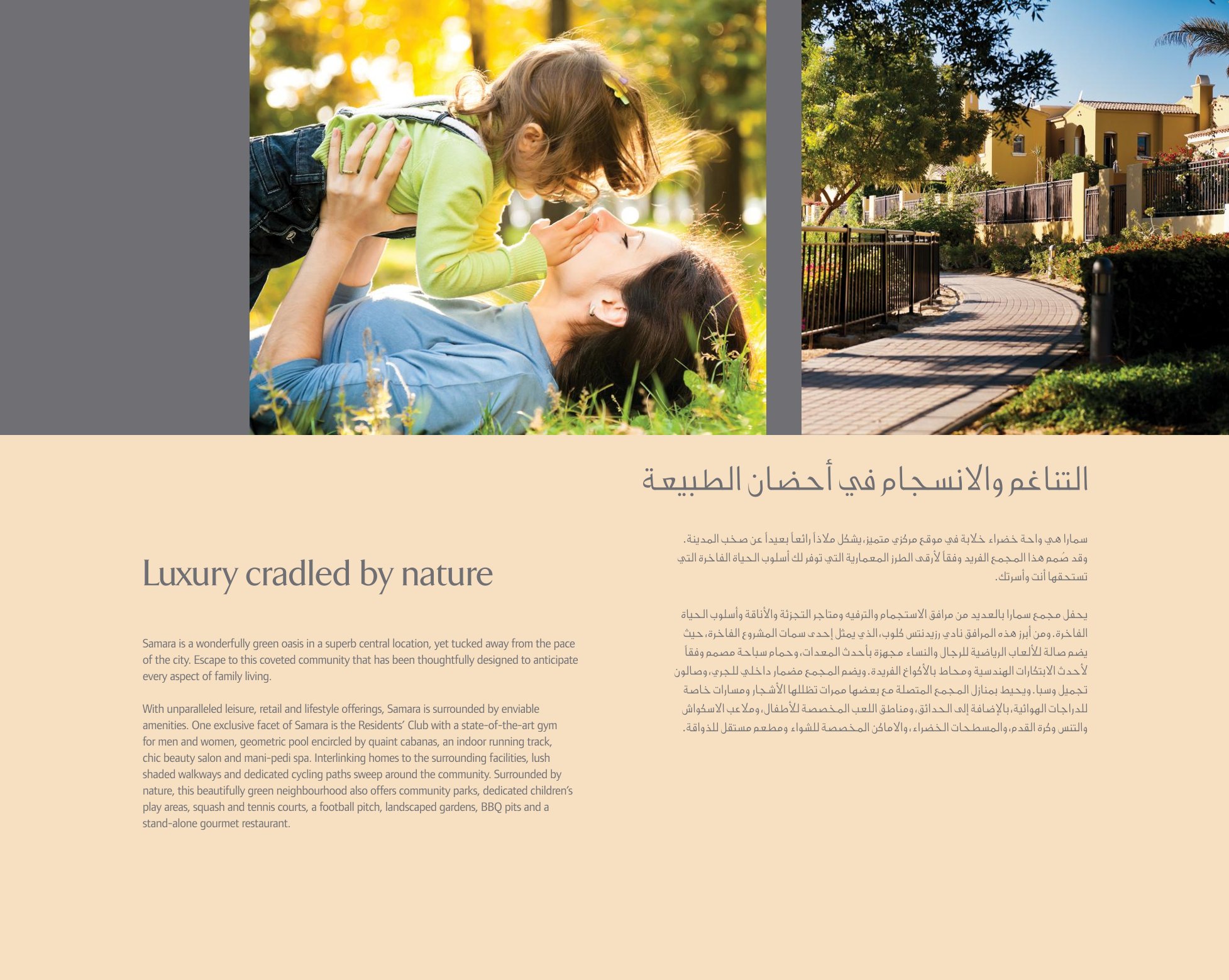 Project slides image 2