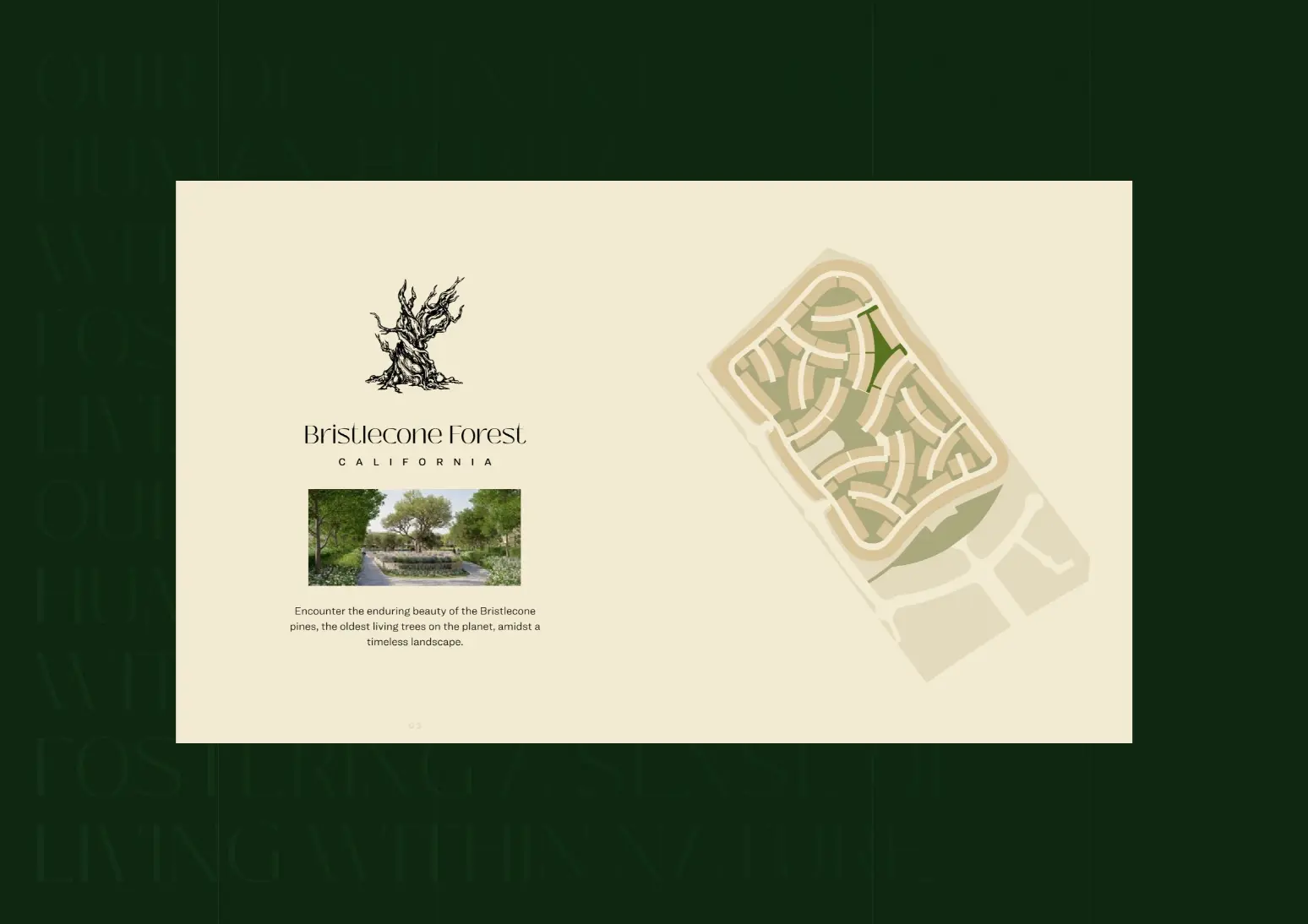 Project slides image 26