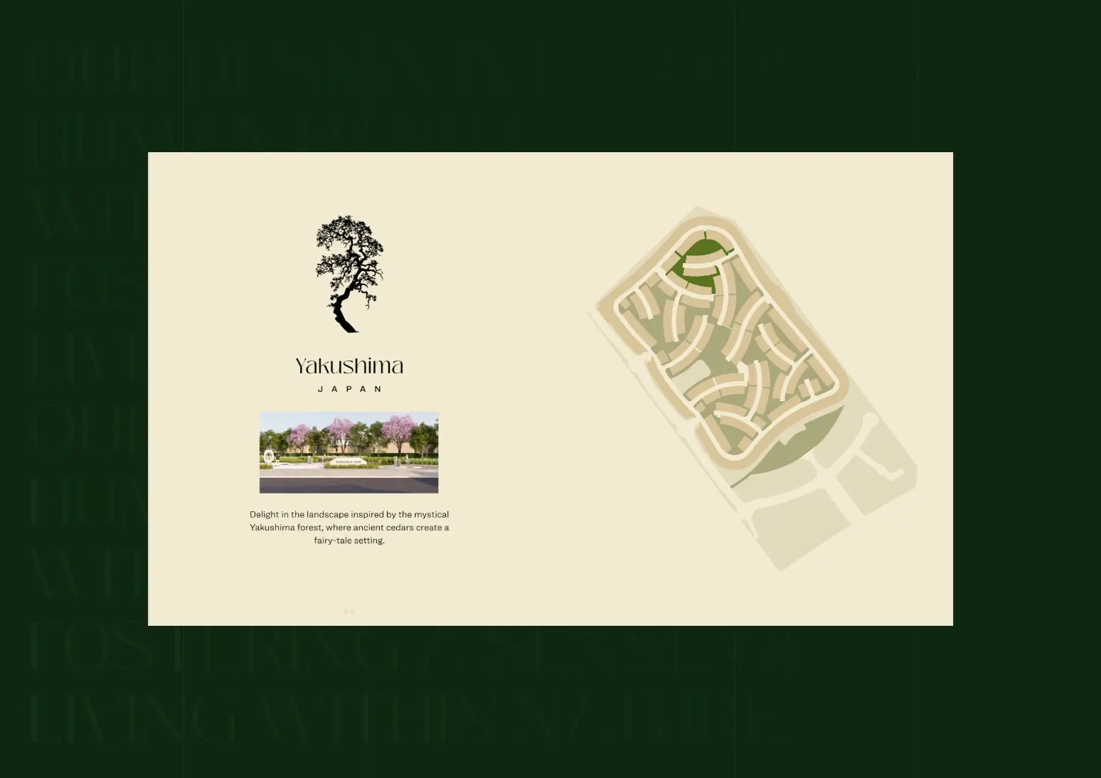 Project slides image 29